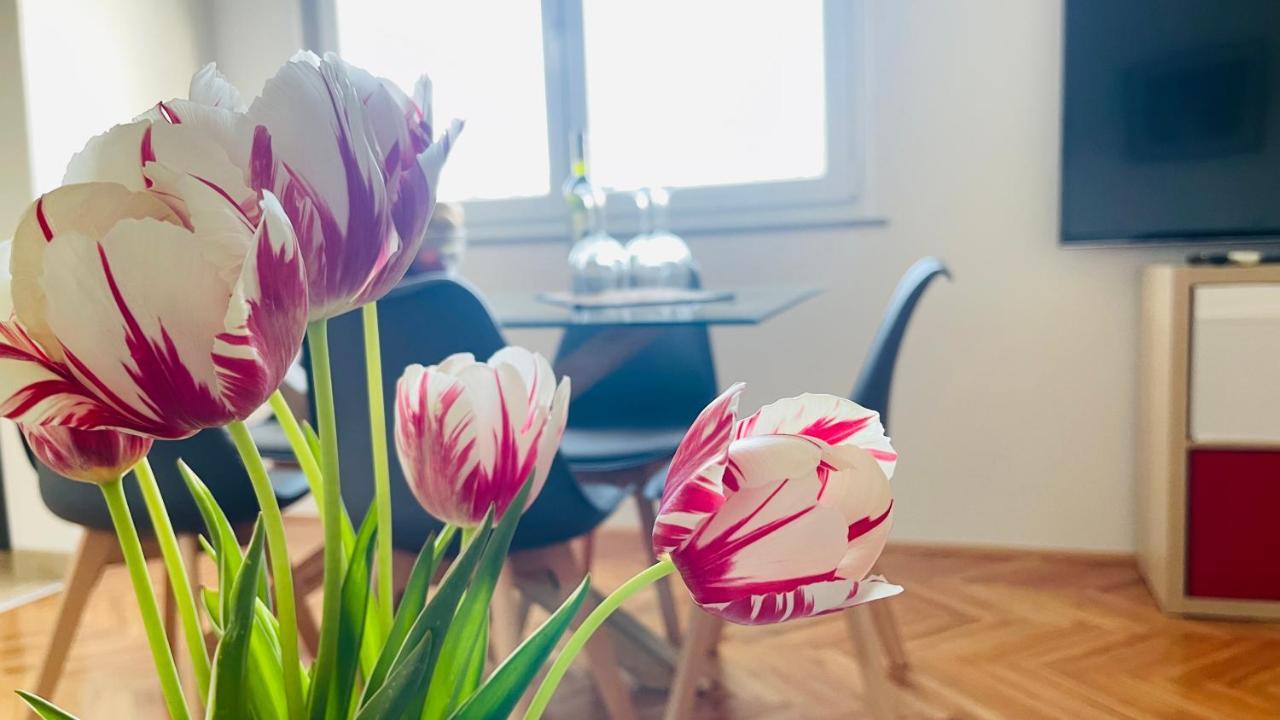 Apartment Iva غييكا المظهر الخارجي الصورة